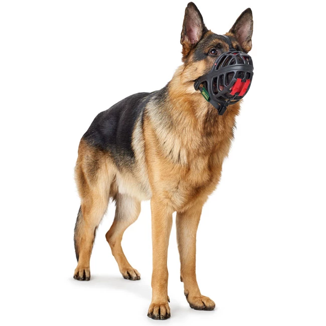 Hunter Maulkorb Albury 6 Hunter Maulkorb Albury – Bild 4