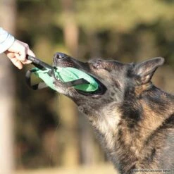 SPORTHUND Geschäfte -SPORTHUND Geschäfte 742501506freshline beisskissen gruen p4dc4056 74250157Ox5rjSEyZ3xP