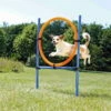 Trixie Agility Ring -SPORTHUND Geschäfte agility ring 7030338YiMy5EqqkJvr8