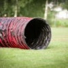 Dogsworld Agility Tunnel 5,5 M -SPORTHUND Geschäfte dogsworld agility tunnel 6440118xBEdeXD41jpaS