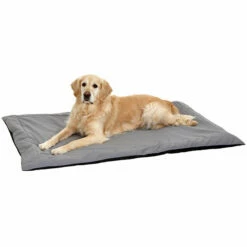 Karlie Liegedecke Doc Bed