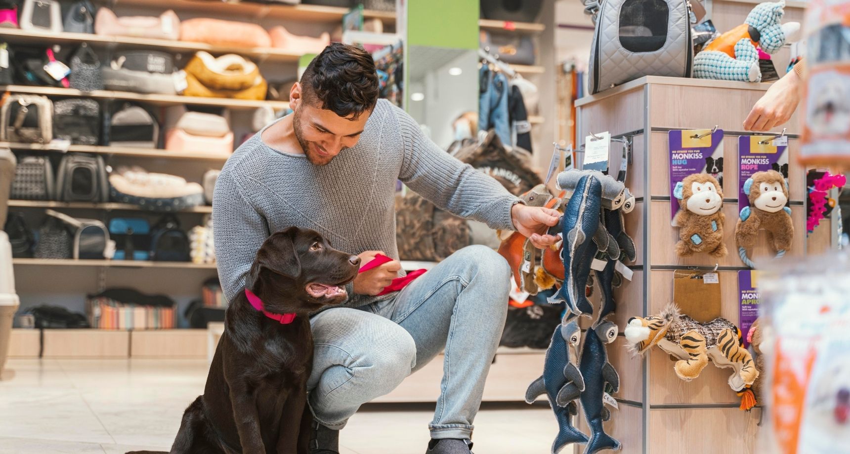 SPORTHUND Geschäfte 22 SPORTHUND Geschäfte -SPORTHUND Geschäfte pet24