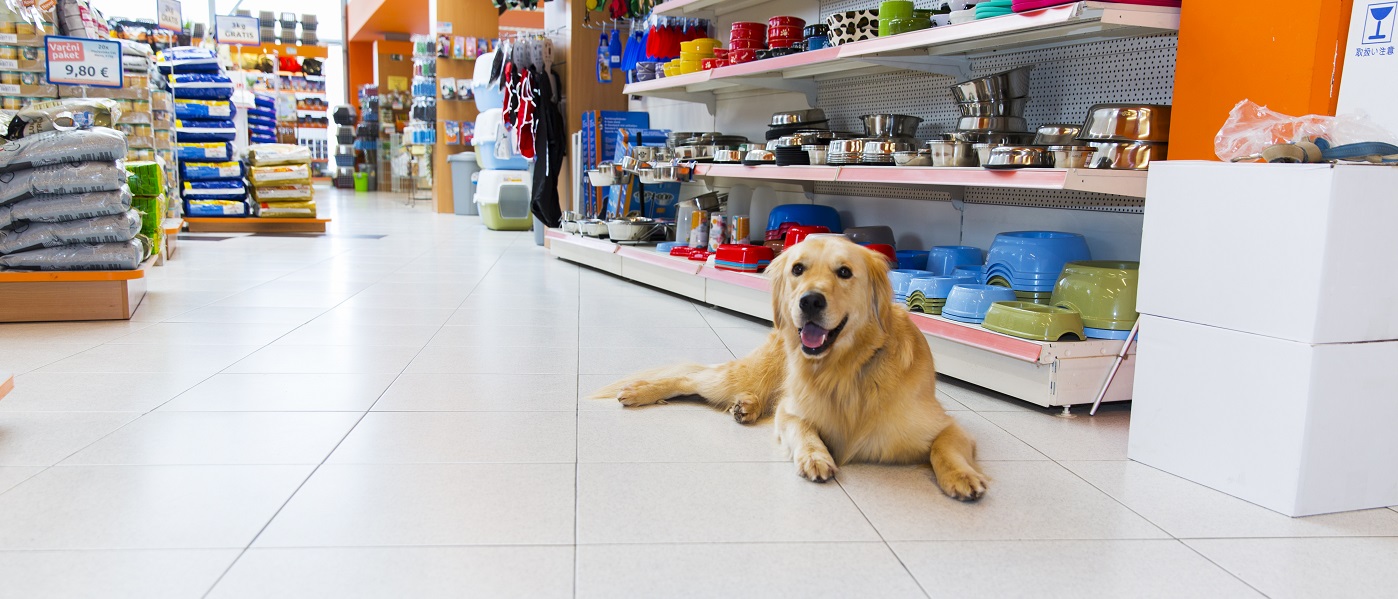 SPORTHUND Geschäfte 2 SPORTHUND Geschäfte -SPORTHUND Geschäfte pet26