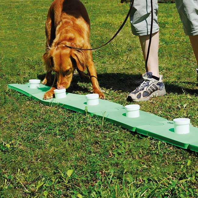 SniffleDog Classic Set Grün 4 SniffleDog Classic Set Grün – Bild 2