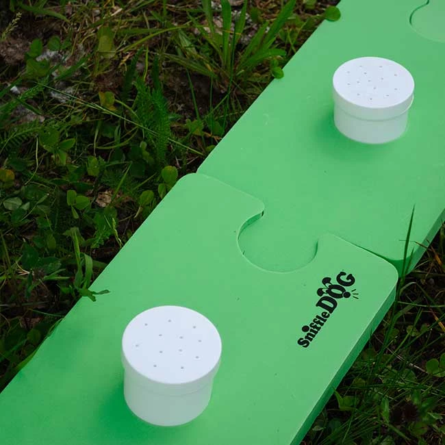 SniffleDog Classic Set Grün 5 SniffleDog Classic Set Grün – Bild 3