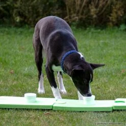 SniffleDog Classic Set Grün 9 SniffleDog Classic Set Grün -SPORTHUND Geschäfte sniffledog classicsetgruen crt 6508 70134801Tq3iUe7GR5Pm